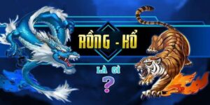 Rồng Hổ Bongvip – Đỉnh Cao Trò Chơi Giải Trí Trong Cá Cược