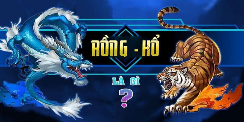 Rồng Hổ Bongvip – Đỉnh Cao Trò Chơi Giải Trí Trong Cá Cược